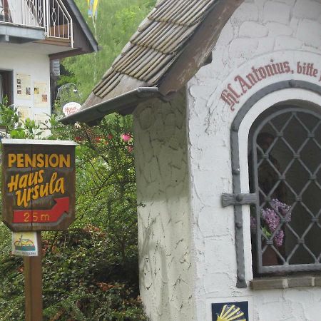 Pension Haus Ursula Koblenz  Exterior photo