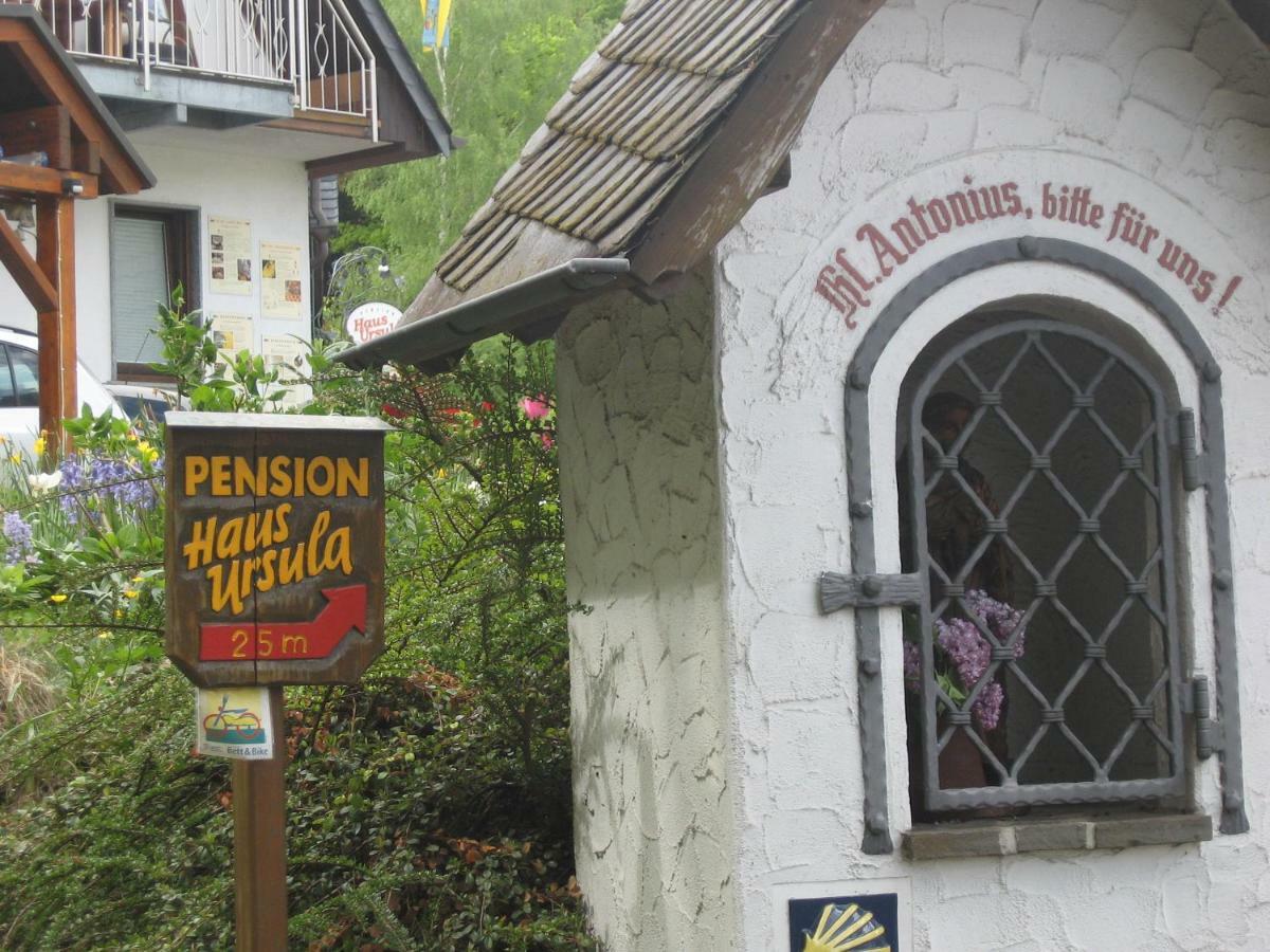 Pension Haus Ursula Koblenz  Exterior photo