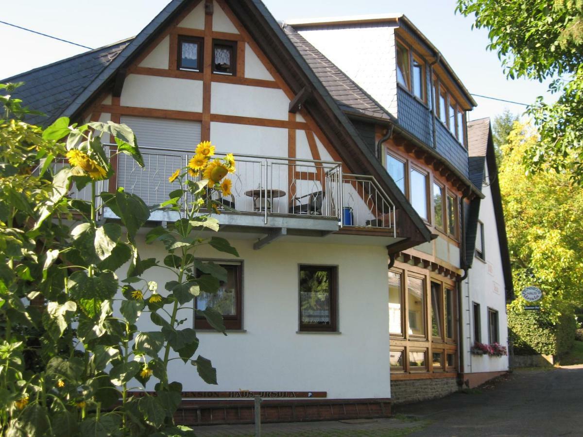 Pension Haus Ursula Koblenz  Exterior photo